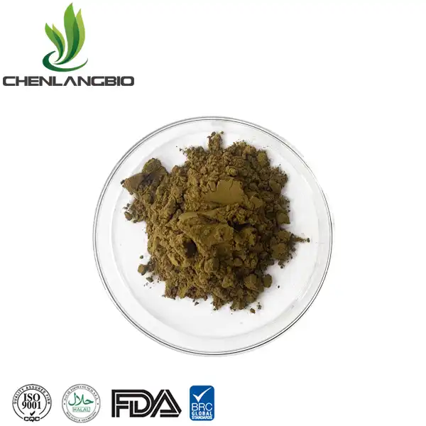 Mulberry Leaf Extract Powder